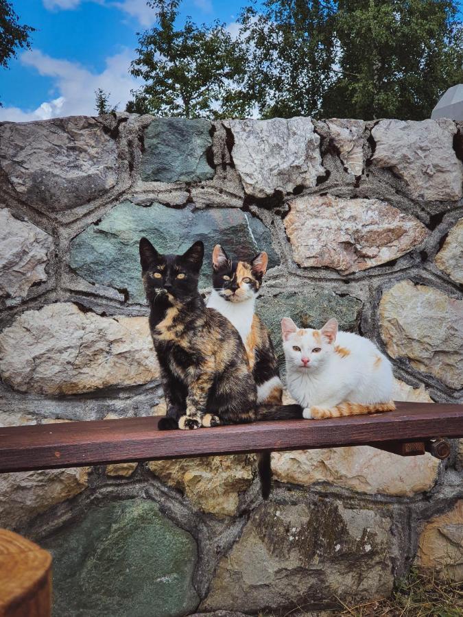 Apartmani Stari Gaj Žabljak Esterno foto